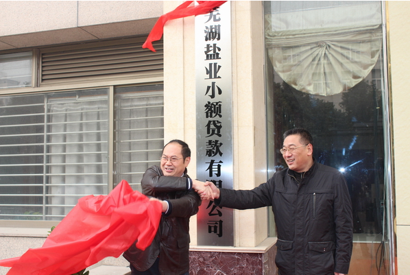蕪湖鹽業(yè)小額貸款有限公司12月26日舉行開業(yè)慶典